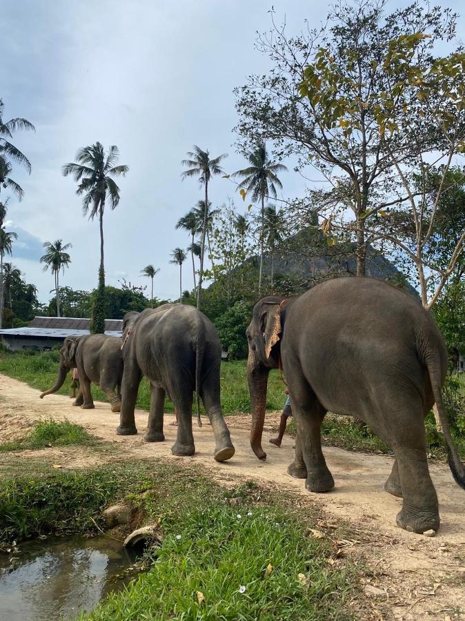 Amadha Villas Retreat - Free Tuk-Tuk Service To The Beach Ao Nang Εξωτερικό φωτογραφία