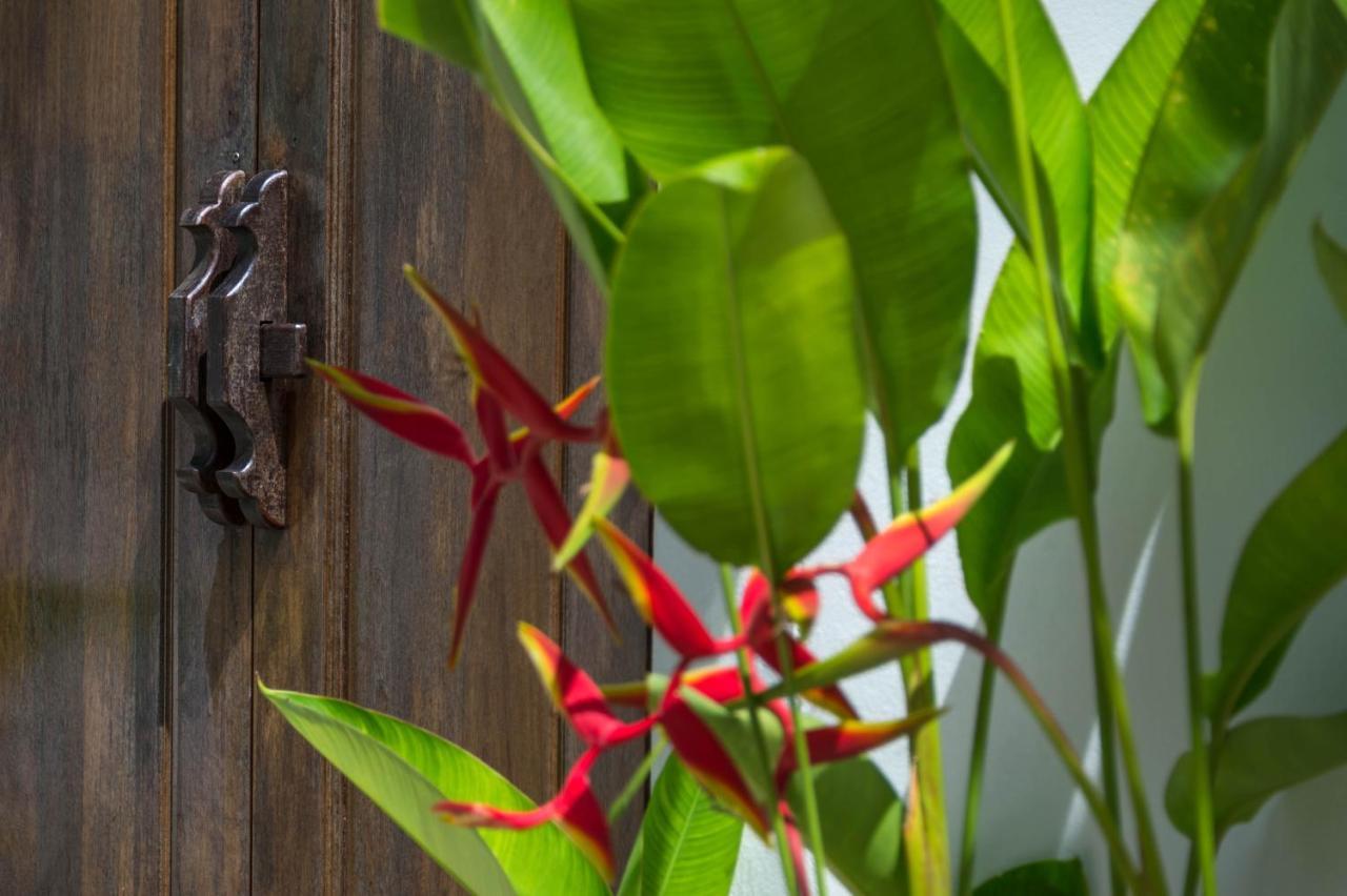 Amadha Villas Retreat - Free Tuk-Tuk Service To The Beach Ao Nang Εξωτερικό φωτογραφία